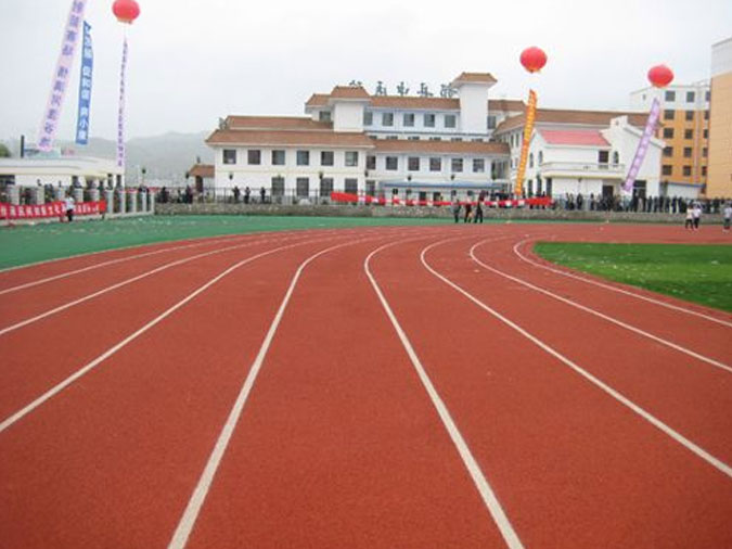 青海河湟樂都體育館混合式跑道